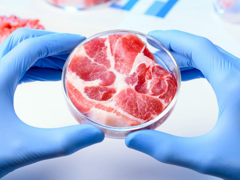 تصنيع اللحوم الاصطناعية