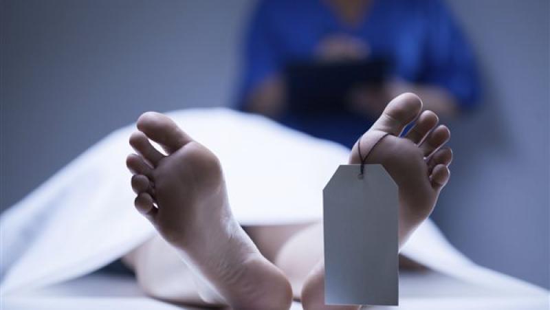 مصرع عامل أثناء محاولته السيطرة على ”عجل” بمنطقة الهرم