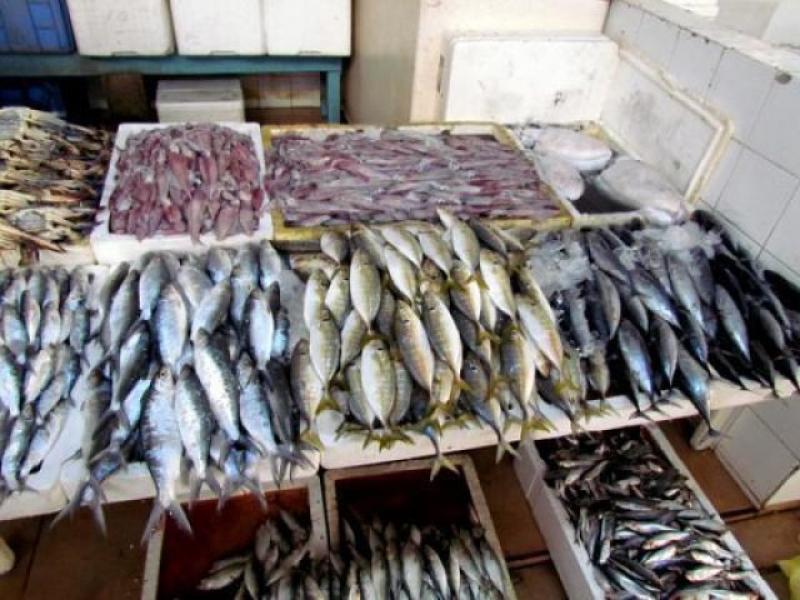 أسعار الأسماك في السوق اليوم السبت 1 أبريل 2023