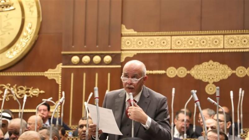 برلماني بعد زيارة ”وفد الكونجرس”: مصر كانت ولا تزال رمانة الميزان في المنطقة