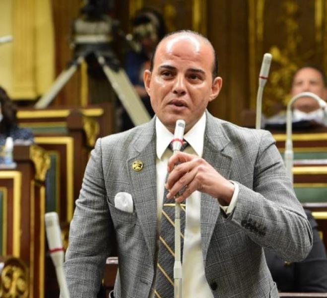 عمرو القماطي: الحوار الوطني نموذجا للديمقراطية في مصر