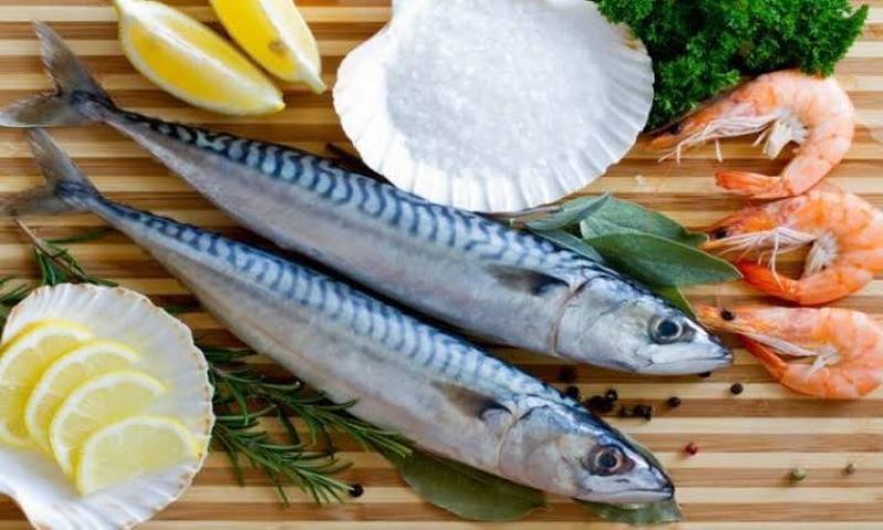 أسعار الأسماك في السوق اليوم الخميس 31 أغسطس 2023