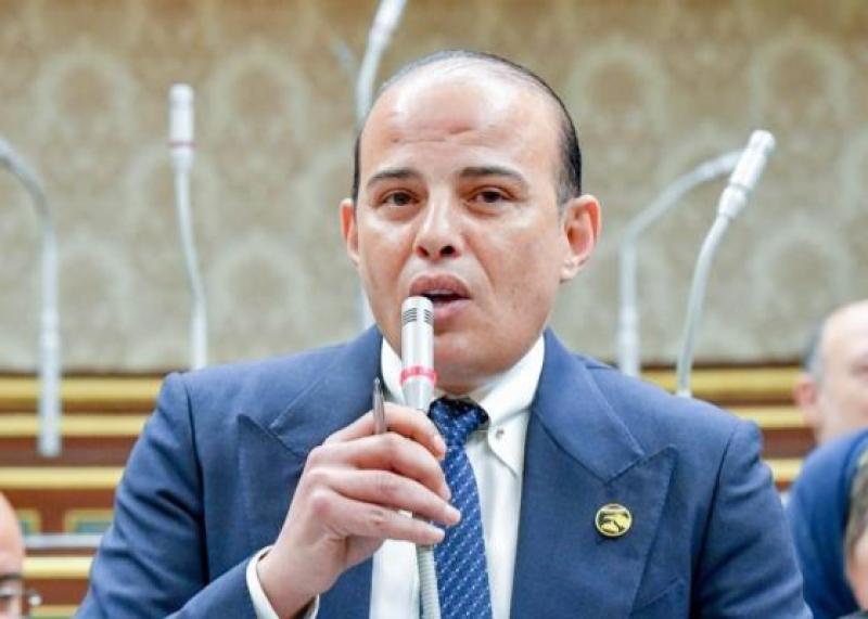 النائب عمرو القطامي: 30 يونيو أنقذت البلاد والمنطقة من خسائر فادحة