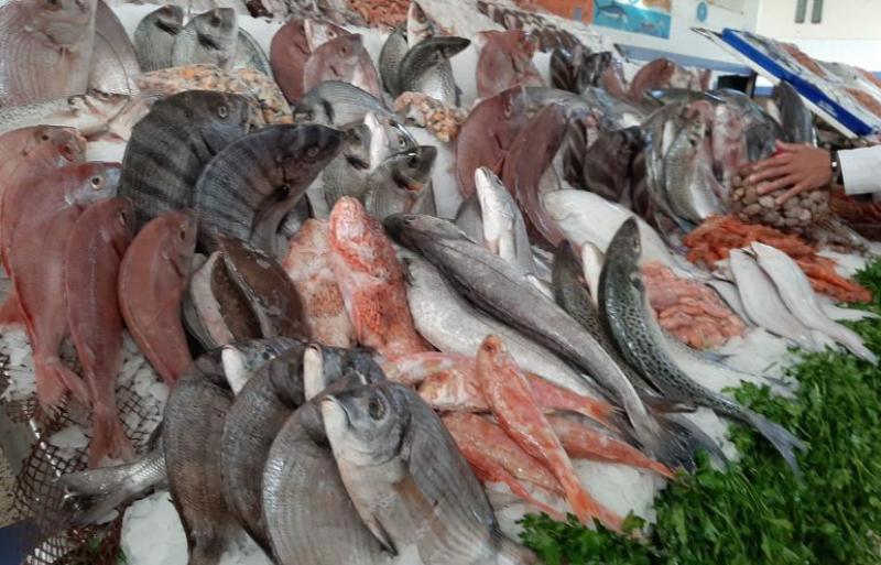 أسعار الأسماك في السوق اليوم الأحد 3 سبتمبر