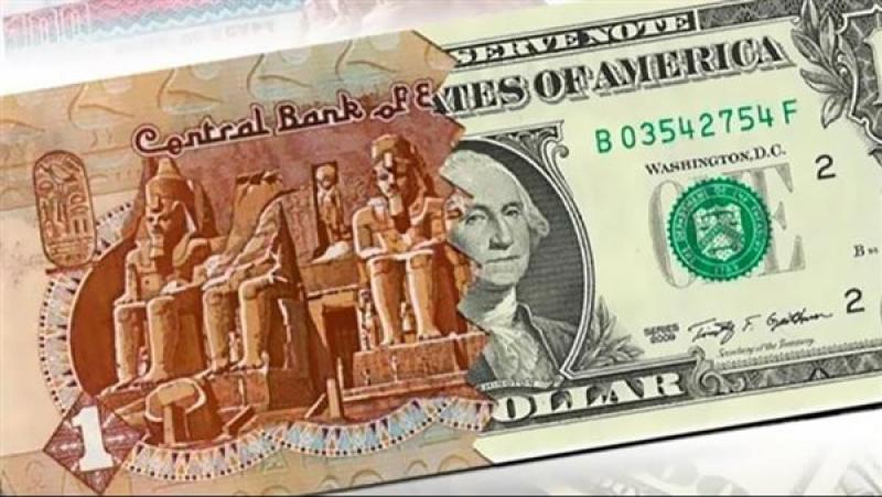 مستشار وزير التموين: الدولار سينهار أمام الجنيه بعد انضمام مصر لـ ”بريكس”
