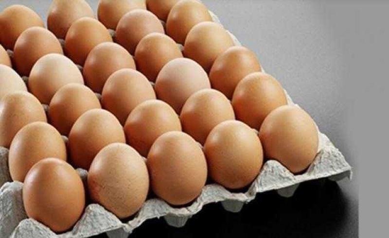 أسعار البيض اليوم في المزرعة وللمستهلك.. البلدي بـ140 جنيها