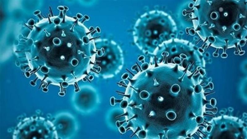 منظمة الصحة العالمية تطلق شبكة لرصد فيروسات كورونا الجديدة