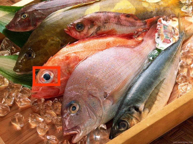 5 علامات للتأكد من السمك طازج