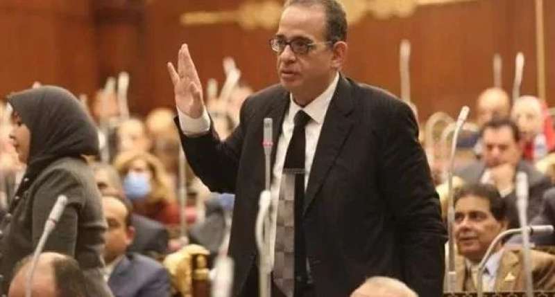 نائب بالشيوخ: موقف مصر ثابت وراسخ بدعم القضية الفلسطينية وإرساء السلام بالمنطقة
