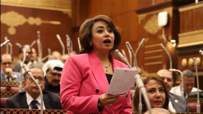 «تضامن الشيوخ»: مصر تعلم المخططات الخبيثة لمحاولة توطين الفلسطينيين في سيناء