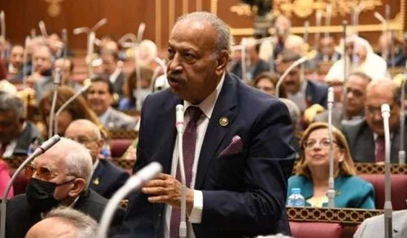 برلماني عن مساعدات غزة: مساندة المواطن الفلسطيني ركيزة تحركات الدولة قيادة وشعبا