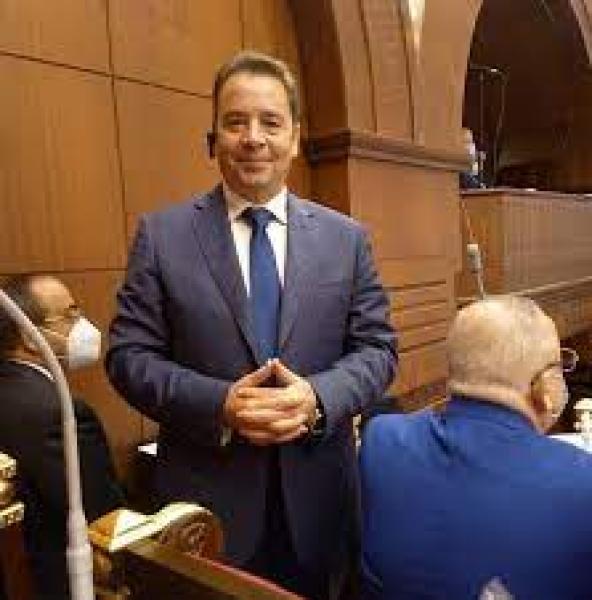 عضو بالشيوخ: رفع وعي الشعب المصري ضرورة لمواجهة التحديات