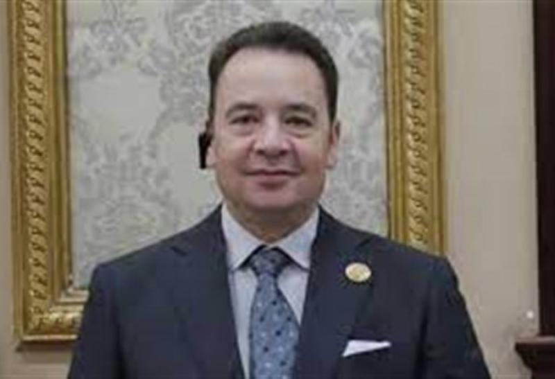 عضو بالشيوخ: الشعب المصري مستقر على اختيار رئيسه في الانتخابات المقبلة