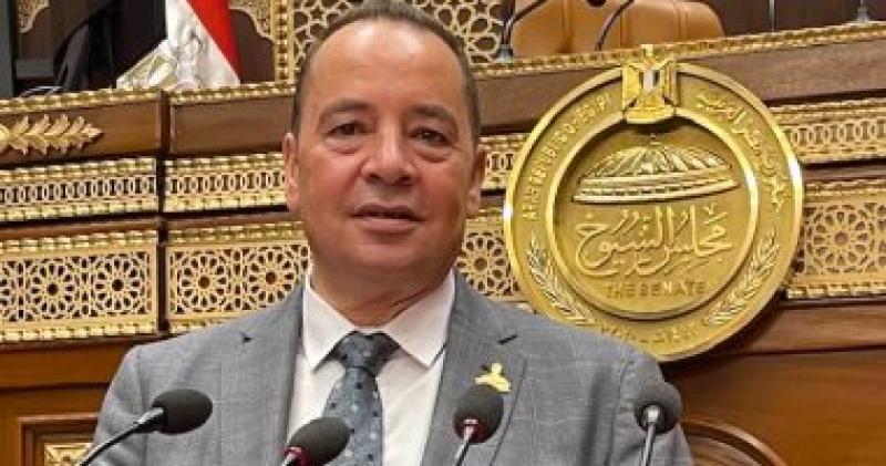 عضو بالشيوخ: الرئيس السيسي أنقذ مصر من براثين جماعة الإخوان