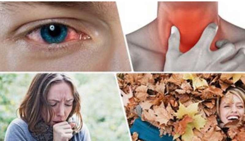 أشهر أمراض الخريف والشتاء