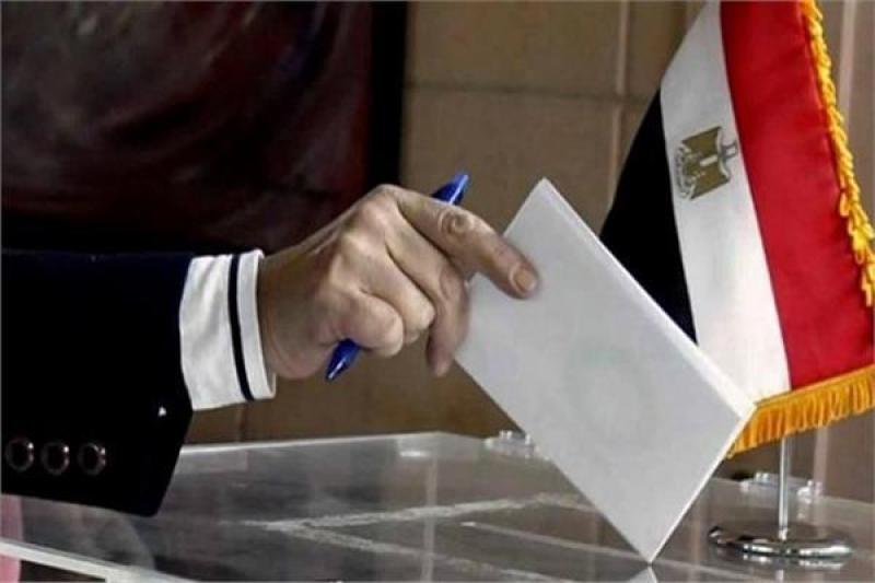اتحاد المصريين بالخارج: هناك رغبة وحماس للمشاركة في الانتخابات الرئاسية