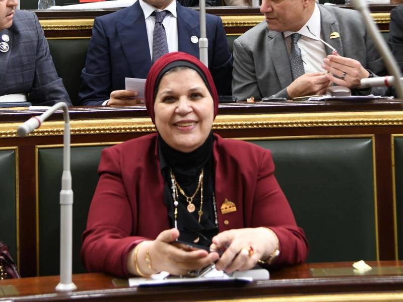 مايسة عطوة: فلسطين قضية مصر الأولى وحقوق شعبها خط أحمر