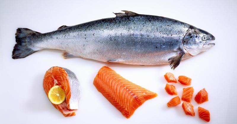 4 فوائد صحية لسمك السلمون