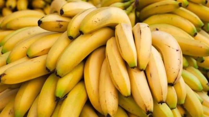 فوائد الموز الذهبية.. يعزز صحة القلب والهضم