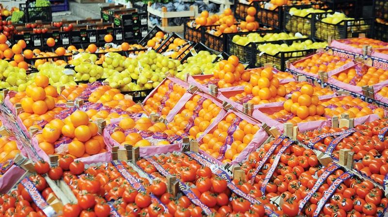 ”الزراعة” تعلن ارتفاع صادرات مصر الزراعية إلى 5.2 مليون طن خلال النصف الأول من العام الجاري