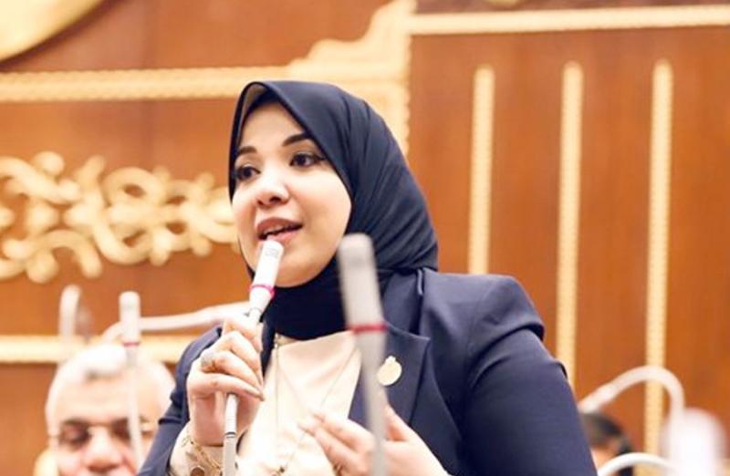 دينا هلالي: القيادة السياسية تولي اهتماما لتأمين احتياجات مصر الغذائية