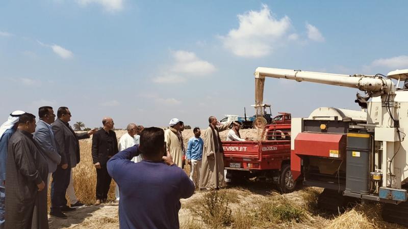 ”الزراعة” تشهد افتتاح موسم حصاد القمح في سيناء | صور