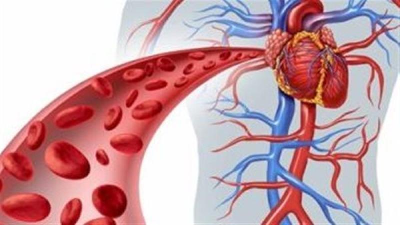 ارتفاع مستوي السكر في الدم يعطل عمل الأوعية الدموية