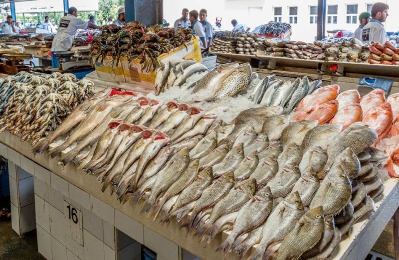 رئيس شعبة الأسماك: هناك عوامل أدت لارتفاع الأسعار