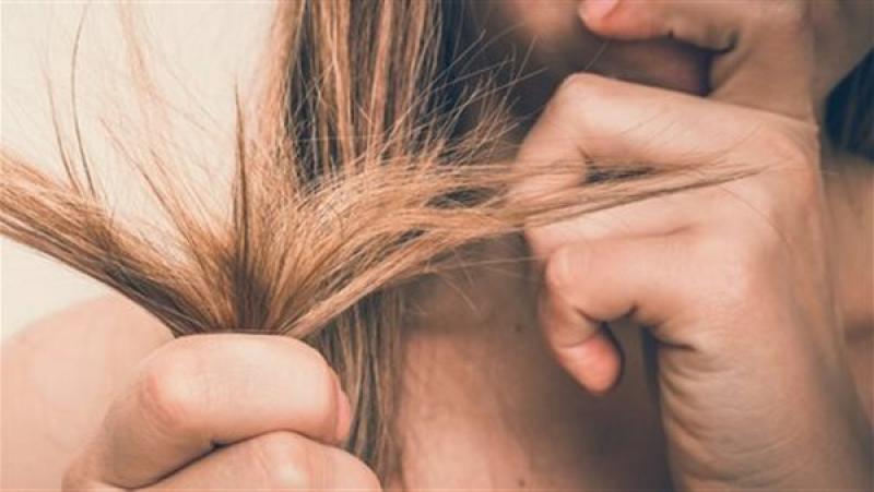 أنواع تقصف الشعر وطرق علاجها| أبرزها التعرض للحرارة