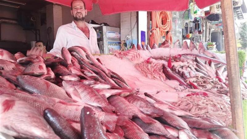 حملة مقاطعة الأسماك ببورسعيد: نجحنا في خفض الأسعار 40%