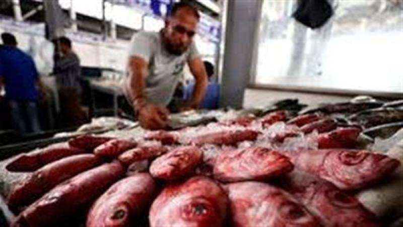 رئيس ”مواطنون ضد الغلاء”: مقاطعة السمك نجحت.. وانخفاض سعر اللحوم بسبب الركود