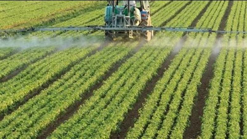 نصائح إرشادية للمزارعين لتفادي أمراض وتلفيات المحاصيل: تنظيم الري الأهم