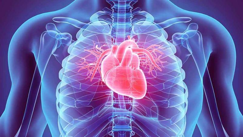 حسام موافي يكشف أخطر أنواع ثقب القلب