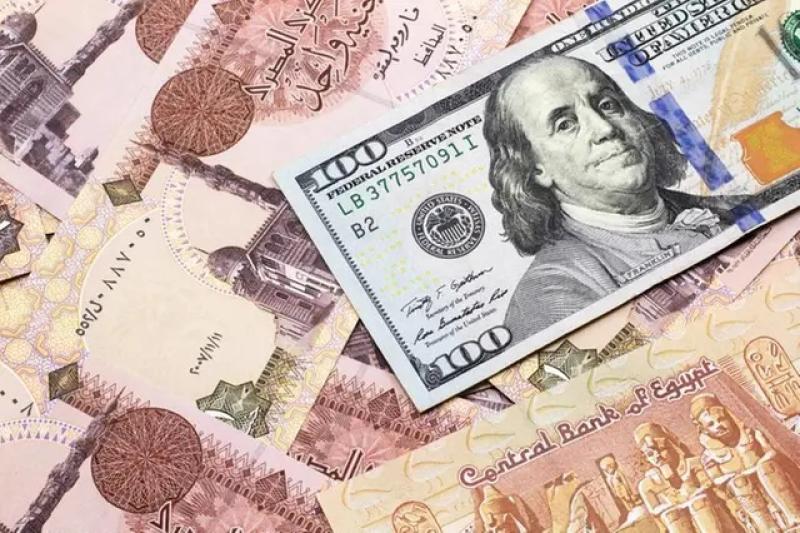 العربية: إشارات مصرية تُرجّح انخفاض الدولار أمام الجنيه