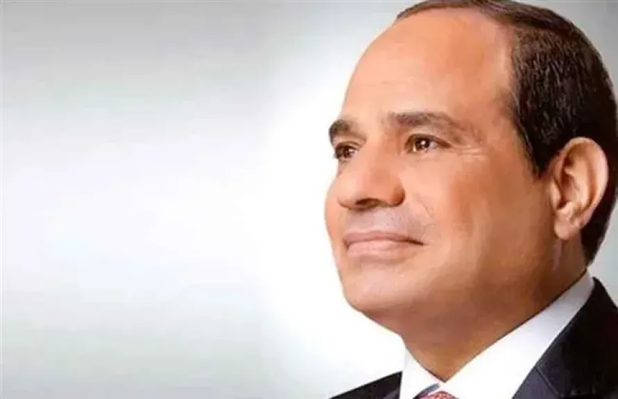 قرار جمهوري بتخصيص 26690 فدانا لوزارة المالية لاستخدامها في إصدار الصكوك السيادية