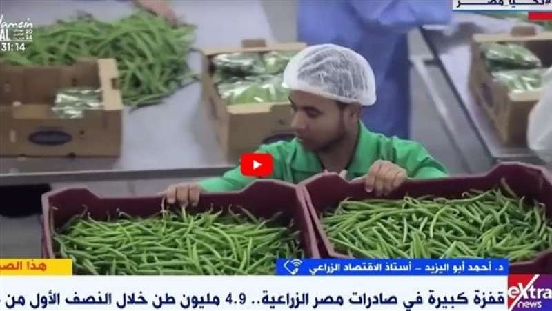 أستاذ اقتصاد زراعي: مصر الأولى عالميًا في تصدير الموالح (فيديو)