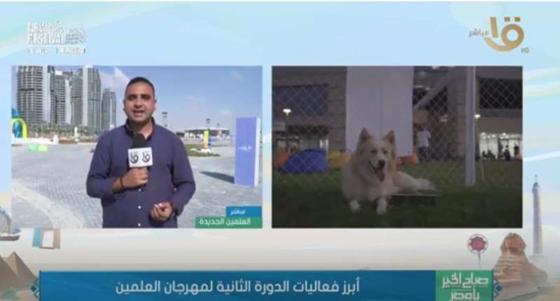 مراسل ”صباح الخير يا مصر”: الأجواء ممتعة في مهرجان الحيوانات الأليفة