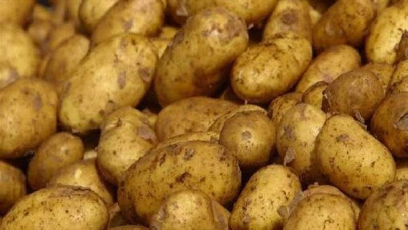 حقيقة وجود تحذيرات من تناول البطاطس في يوليو وأغسطس.. الزراعة تحسم الأمر