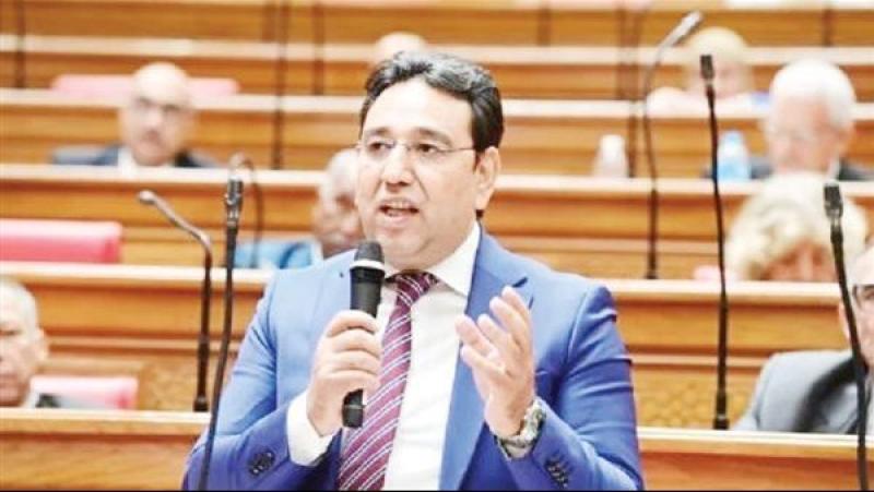 أيمن محسب: مصر تلعب دورا هاما لصالح الأشقاء في فلسطين