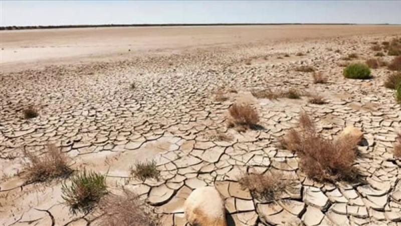 دراسة تكشف العلاقة بين التصحر وانتشار الملاريا