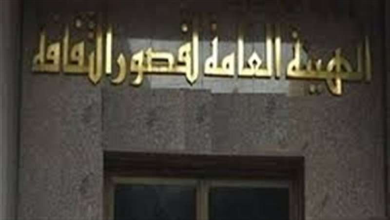 «قصور الثقافة»: نستهدف تنمية مهارات الأطفال في مشروع «أهل مصر»