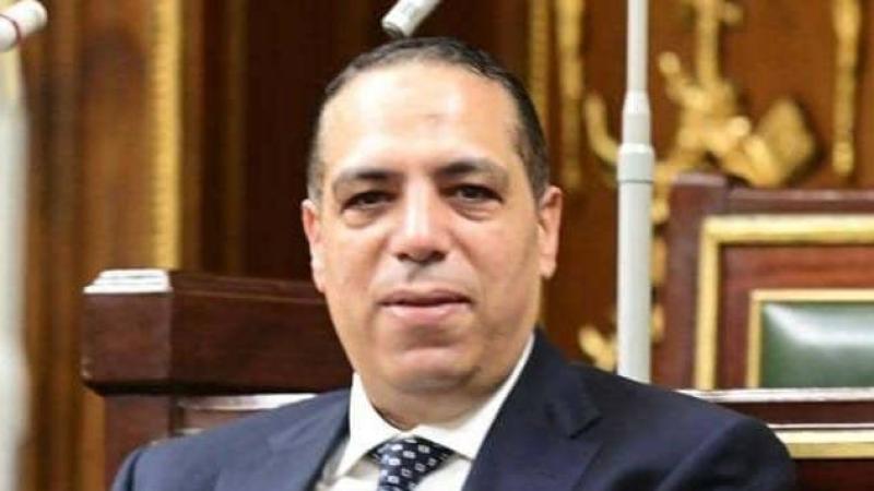 برلماني: التصدي للمخالفات والتعدي على الأراضي حماية لمستقبل مصر وأمنها الغذائي