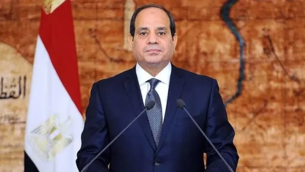 الرئيس السيسي: مصر اضطلعت بمسؤوليتها في مكافحة الهجرة غير الشرعية