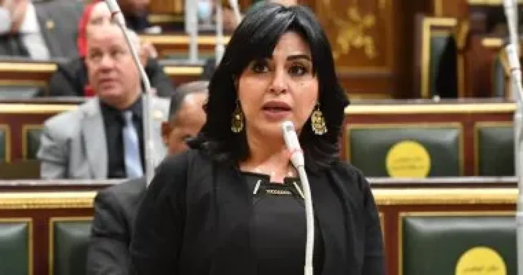 النائبة هند رشاد: الإعلام العربي الواعي خط الدفاع الأول لمواجهة الادعاءات المغرضة