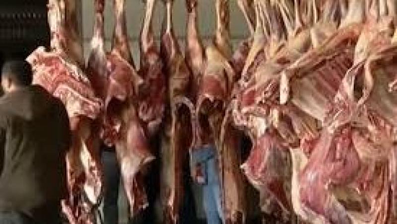 وزارة الزراعة: توفير اللحوم البلدى بأسعار أقل من السوق بنسبة 20%