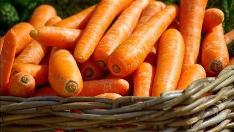 الجزر.. كنز طبيعي للوقاية من الأمراض