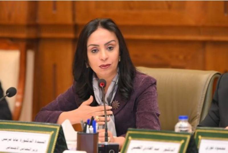 وزيرة التضامن: مصر تستضيف المنصة الدولية للحماية الاجتماعية مايو 2026