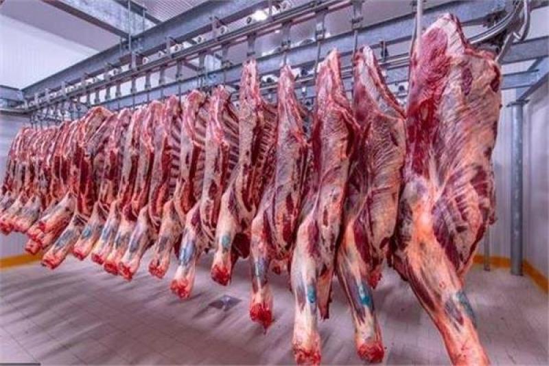 أسعار اللحوم اليوم الجمعة 2 - 5 - 2025