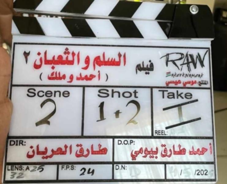 المخرج طارق العريان يبدأ تصوير الجزء الثاني من فيلم السلم والثعبان