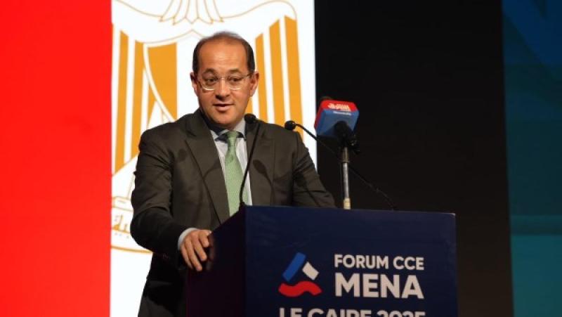 وزير المالية: الاقتصاد المصرى يتحرك بخطى جيدة.. ويوفر فرصا استثمارية كبيرة